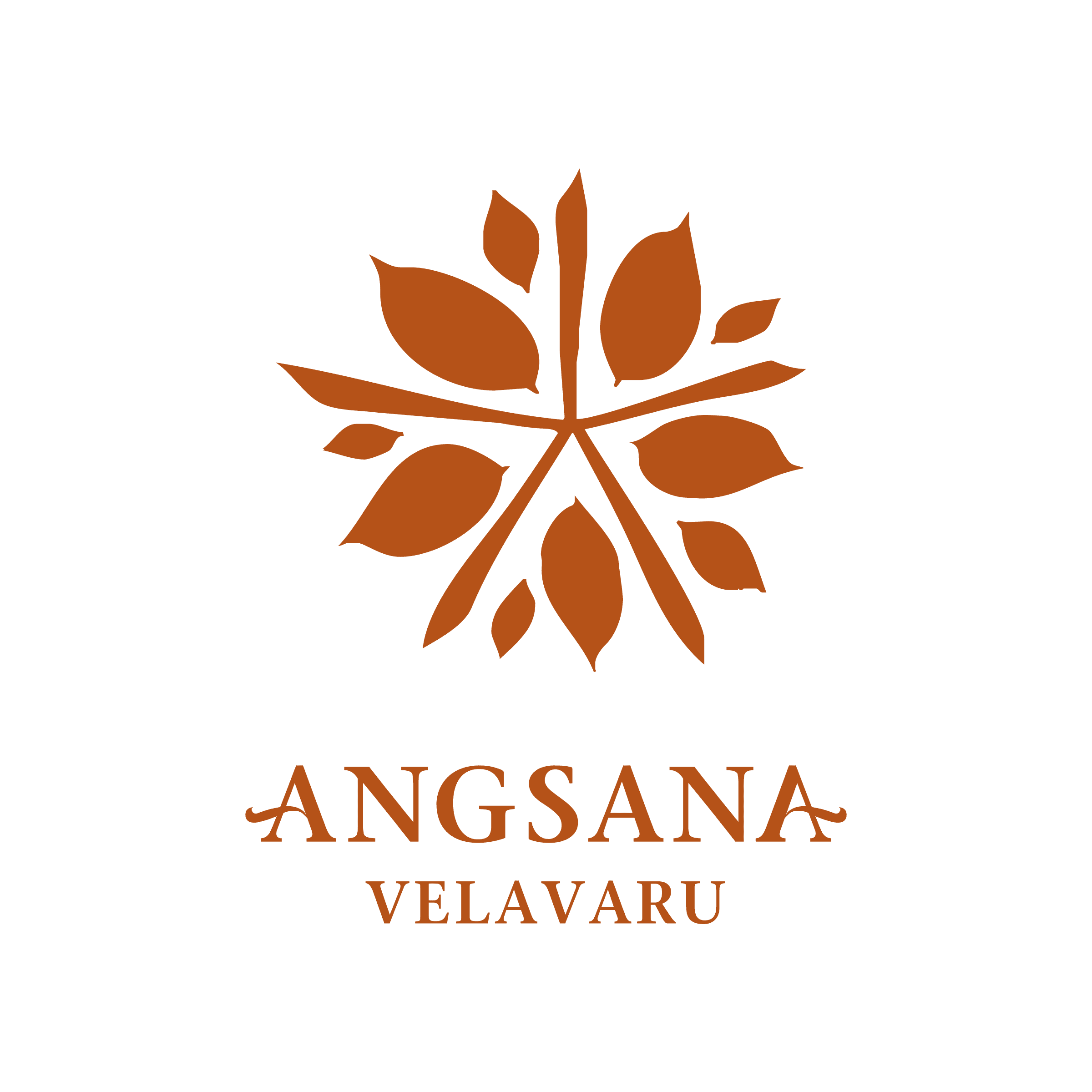 https://www.angsana.com/maldives/velavaru