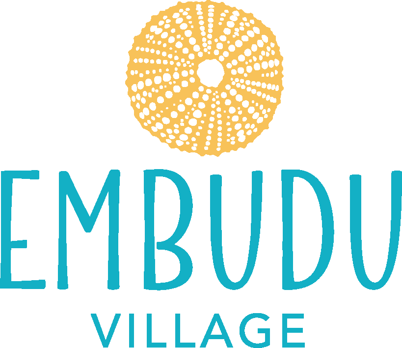 EMBUDU Logo Final (2)