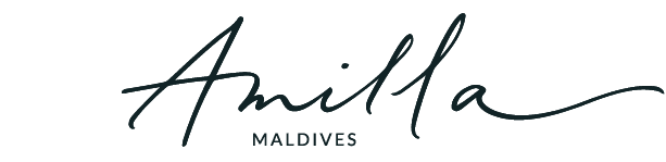 Amilla Full Logo Black Center Small