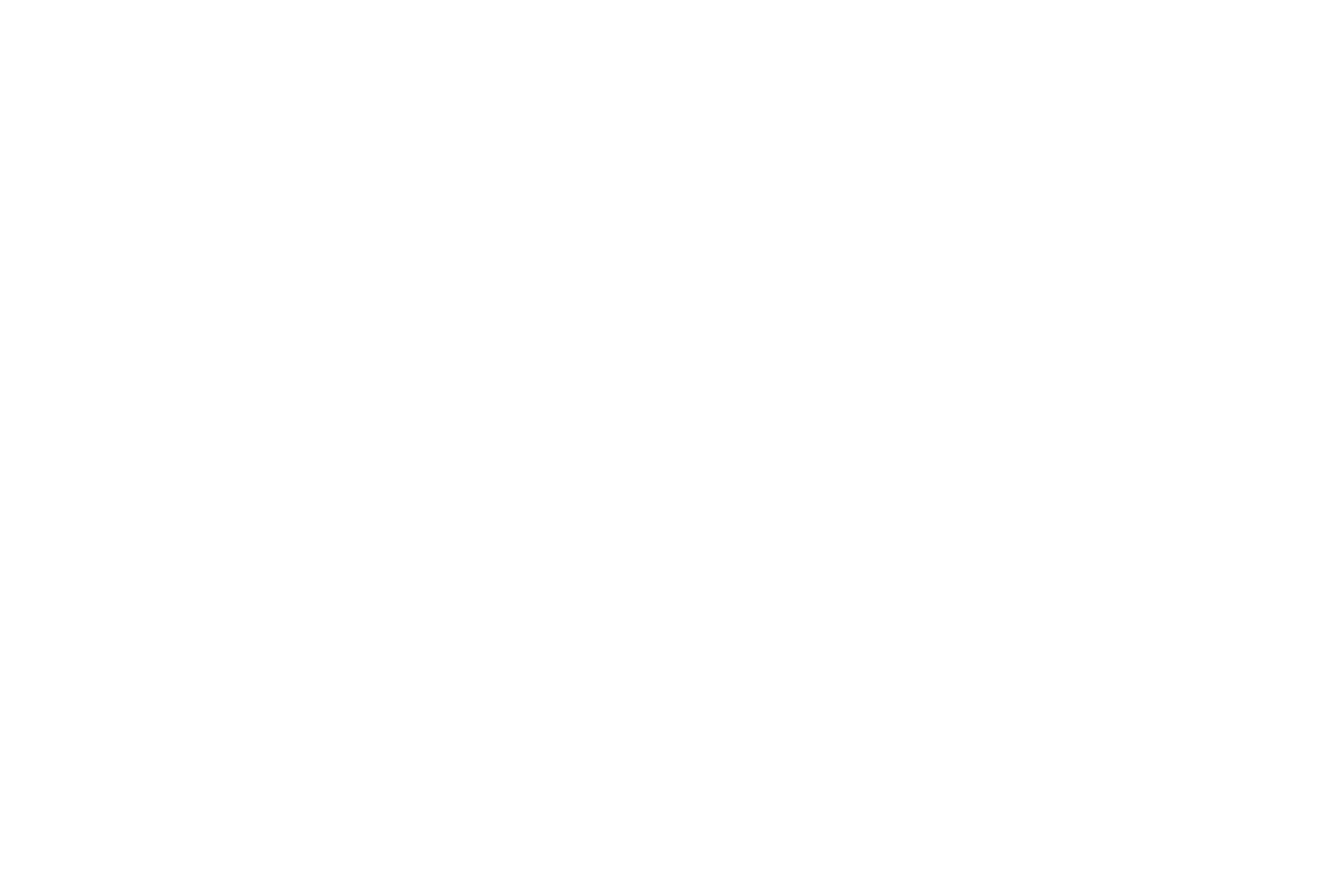 The Travel Guys
